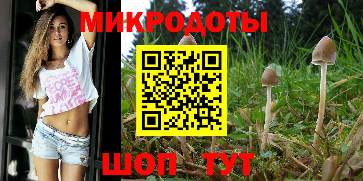 Галлюциногенные грибы Psilocybine cubensis Слободской